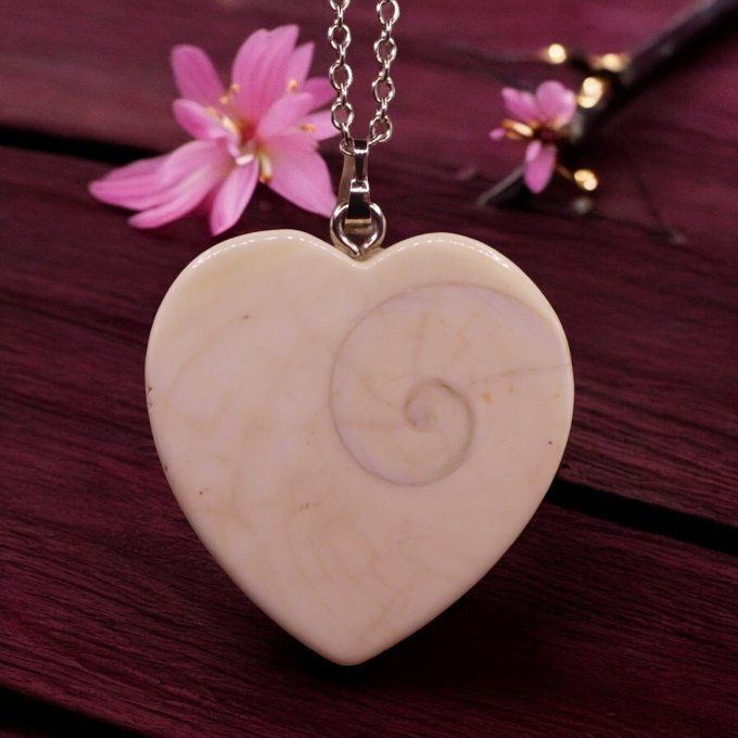 Oeil de Sainte Lucie