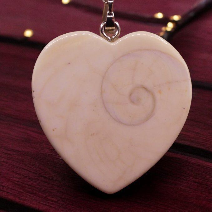 Oeil de Sainte Lucie