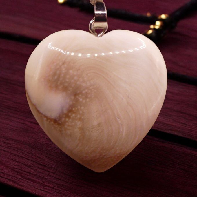 Oeil de Sainte Lucie