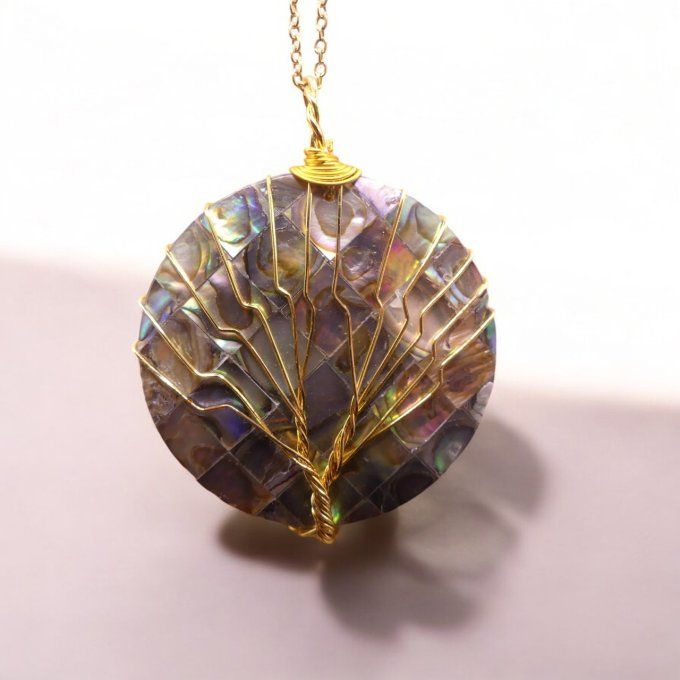 Coquille ormeau rond