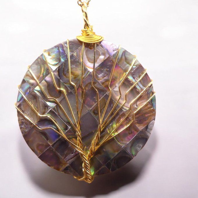 Coquille ormeau rond